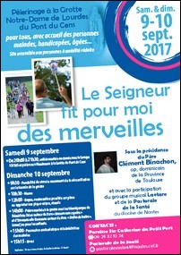 Pont du cence - Nantes